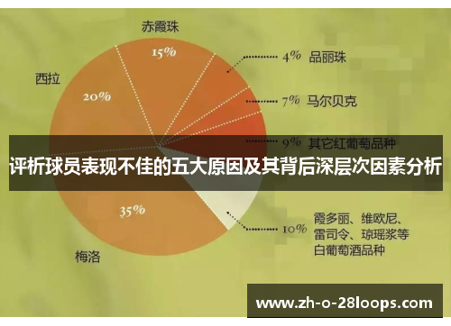 评析球员表现不佳的五大原因及其背后深层次因素分析 评析球员表现不佳的五大原因及其背后深层次因素分析